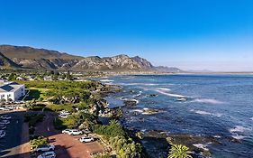 The Sun, Whales & Waves - Seafront Apartment